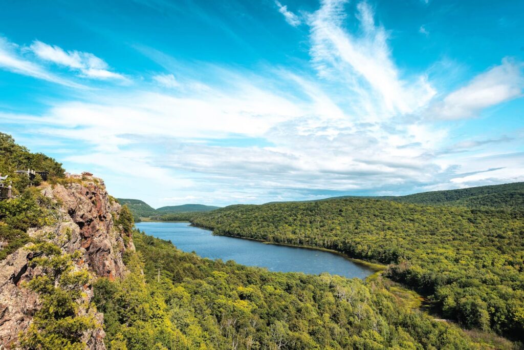 A Green Trees Near the Lake Under the Blue Sky and White Clouds