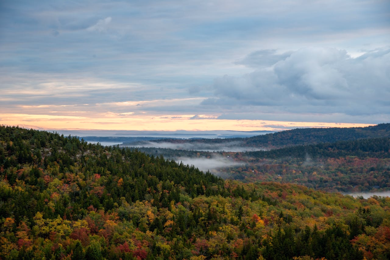 Serene Autumn Landscape in Acadia National Park, Maine