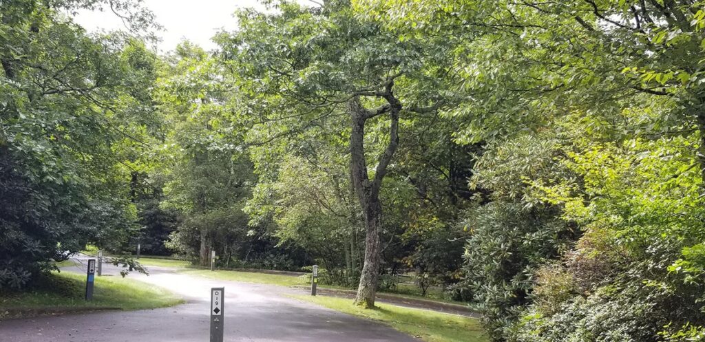 Mount Pisgah Campground | NPS