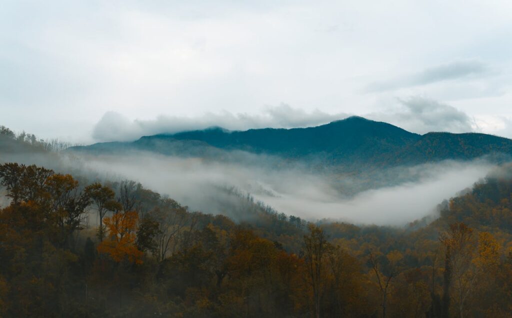 Camping in the South